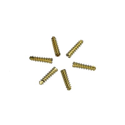 Roestvrij staalimplant 2.4mm het Sluiten Orthopedisch de Chirurgieinstrument van de Beenschroef